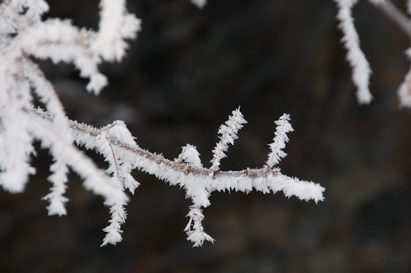 Frost-1024