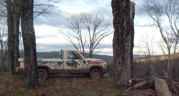 Bob's grandchildren have painted his uninspectable truck.