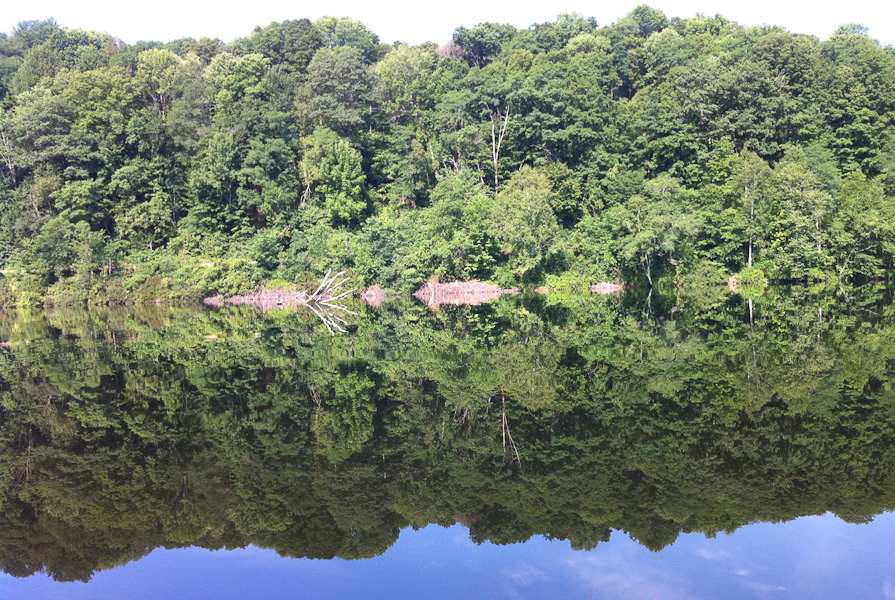 Reflection