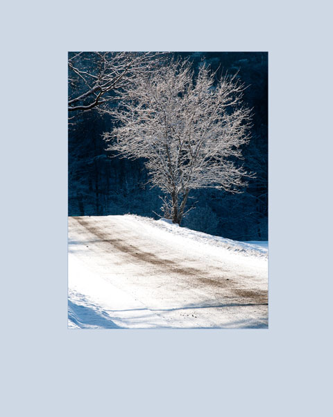 Along-the-road